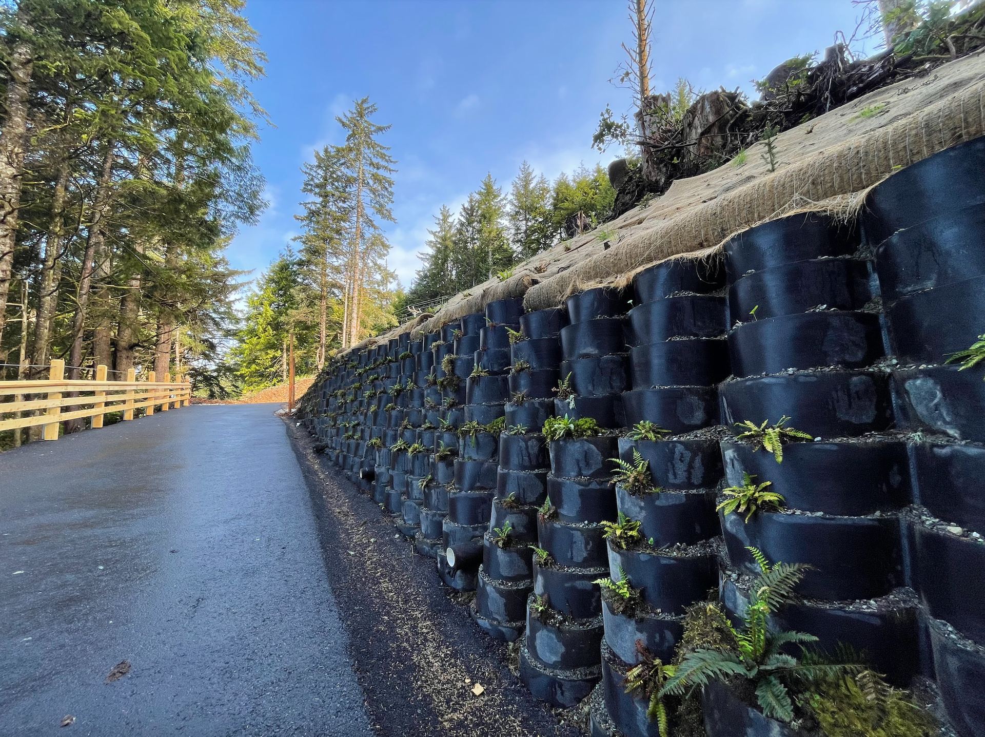 Retaining wall along the Multi-use Trail between Ucluelet and Tofino