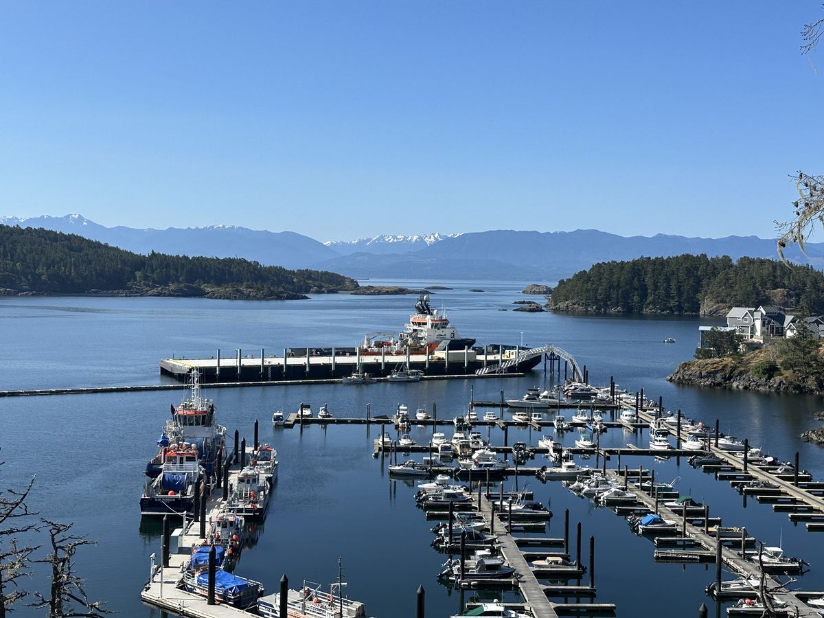 Moorage barge and marine piles at Spirit Bay, Vancouver Island